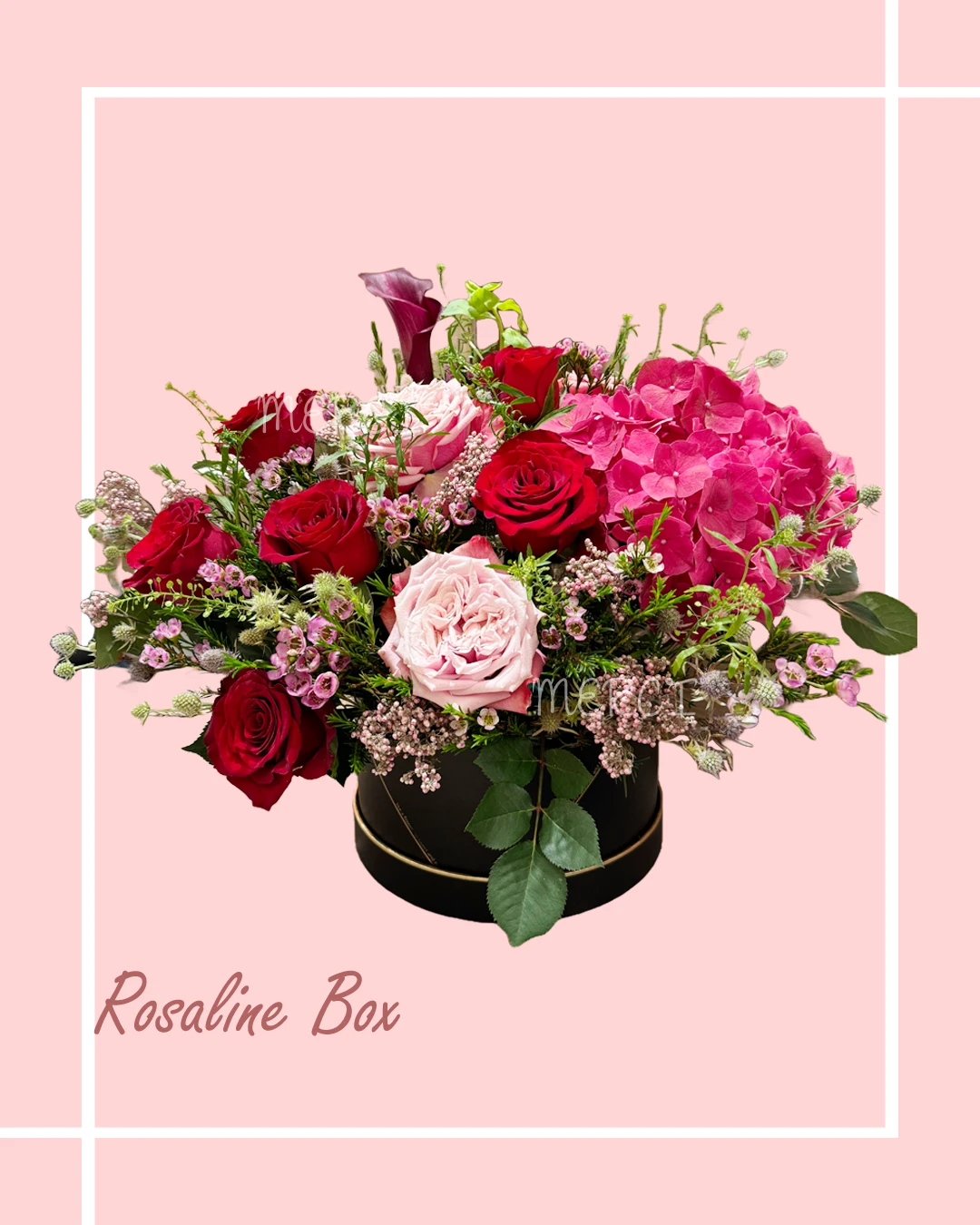 Rosaline Box